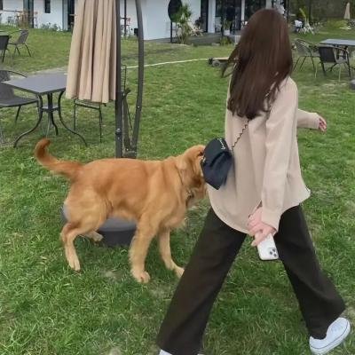委内瑞拉往事